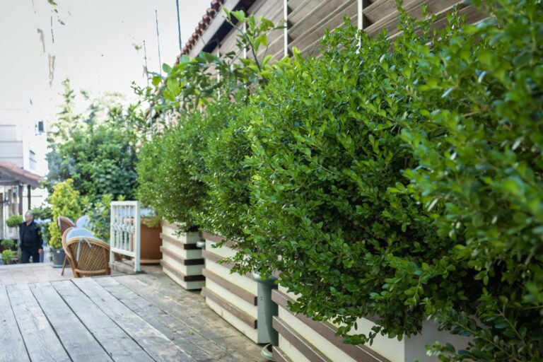 Comment aménager un jardin pour maximiser l’espace