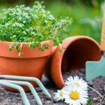 Les étapes essentielles pour entretenir son jardin toute l’année