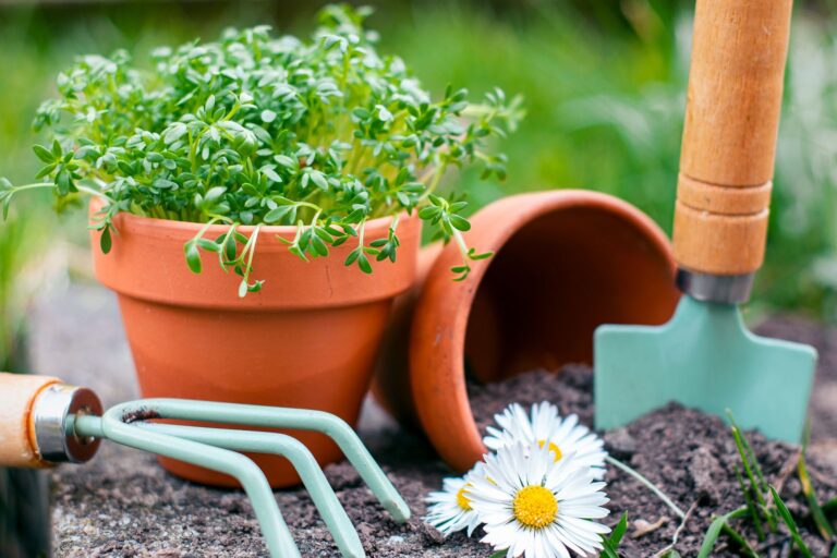Les étapes essentielles pour entretenir son jardin toute l’année