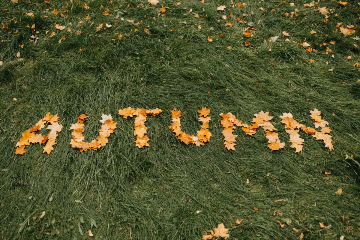 Jardin : 5 travaux à prévoir avant la fin août pour préparer l’automne