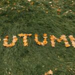 Jardin : 5 travaux à prévoir avant la fin août pour préparer l’automne