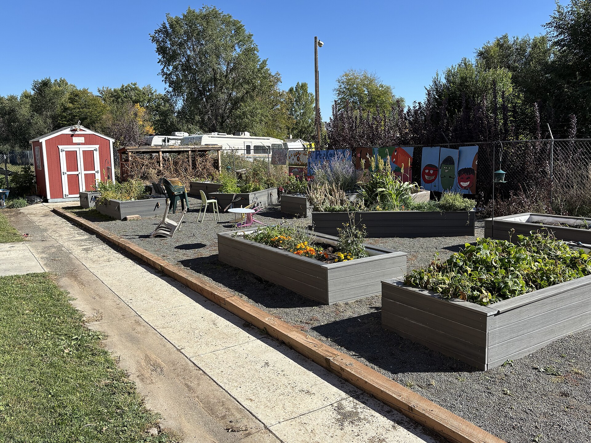 Potager d’école en bacs surélevés gris, garnis de légumes et de fleurs sur un sol de gravier